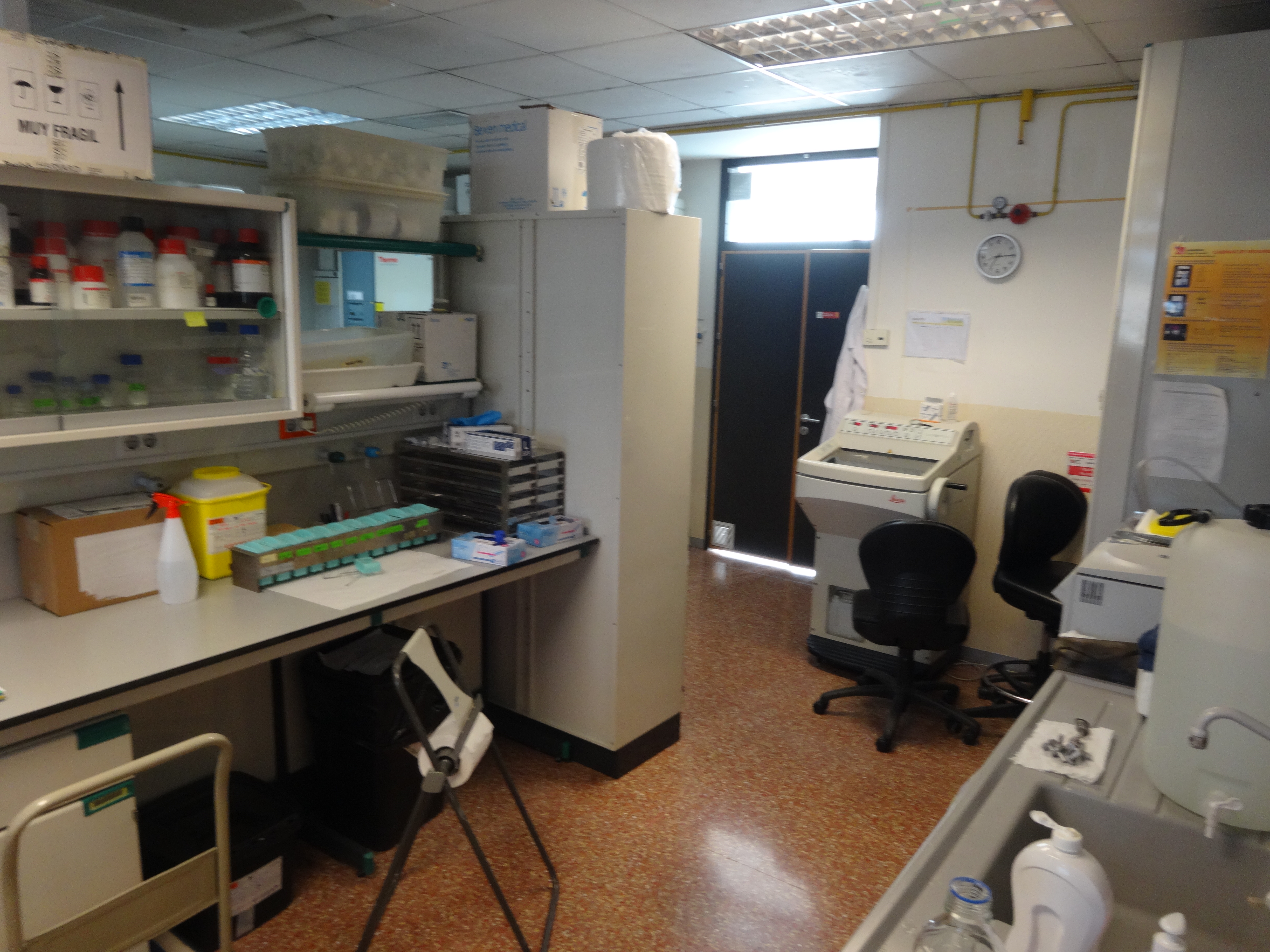 Imagen del laboratorio